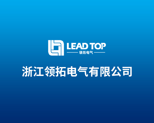 溫州領拓電氣有限公司